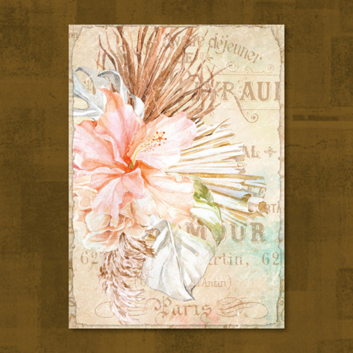 Savana flora 4. — foto 1