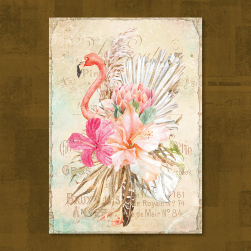 Savana fauna 2. — foto 1