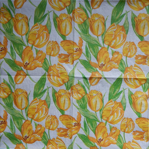 Žluté tulipány 4111 — foto 1