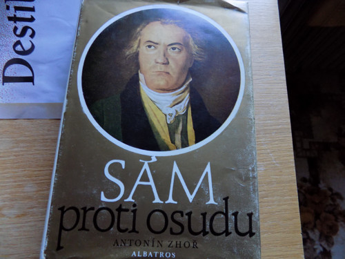 Sám proti osobu - kniha