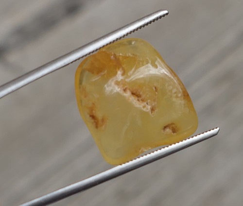 Jantar ( 16 mm) - J9818
