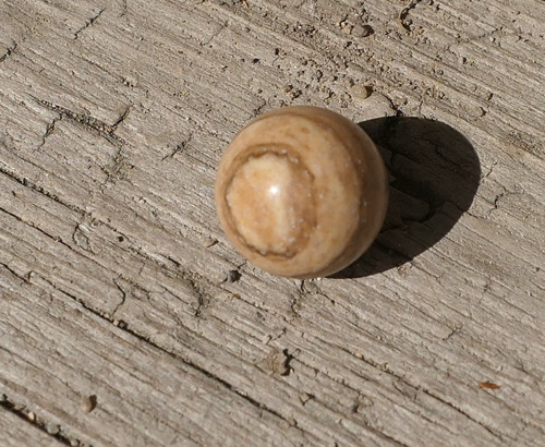 Kulička 10,2 mm - jaspis obrázkový J9891