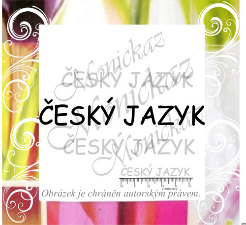 Český jazyk 171 c). Razítko.