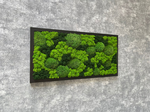 Mechový obraz 60x30cm