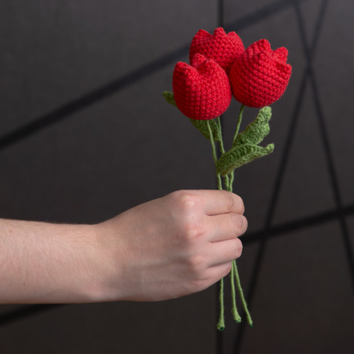 Červený tulipán — foto 1