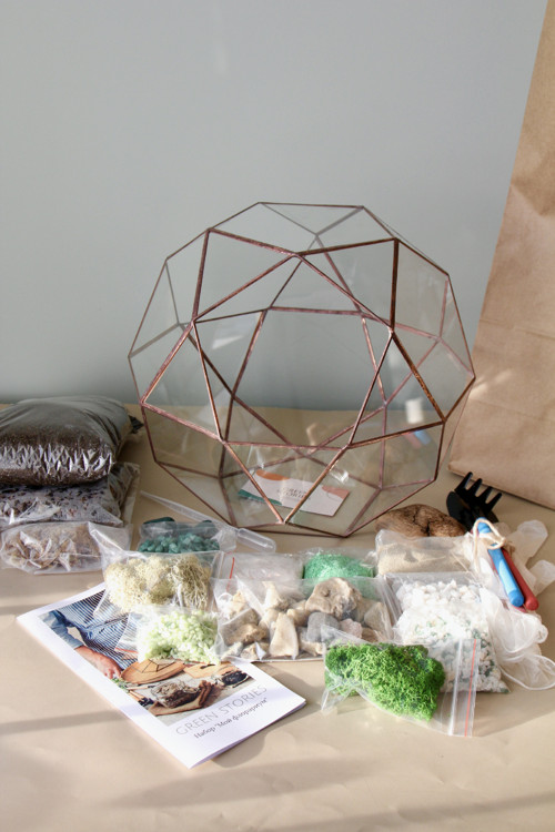 DIY set + terárium "Mars"