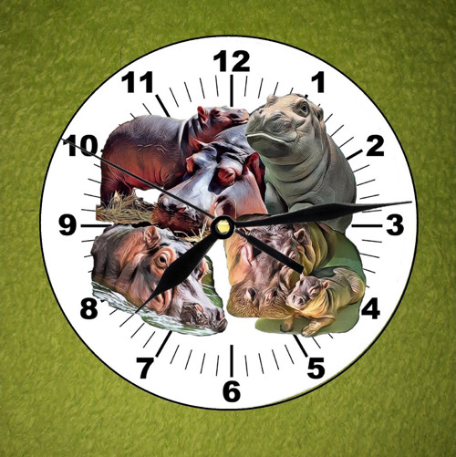 Hroch Nástěnné Hodiny