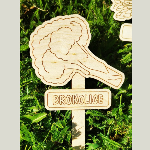 Zahradní zápich - Brokolice