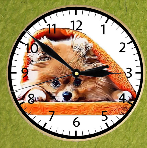 Špic Pomeranian Nástěnné Hodiny — foto 1