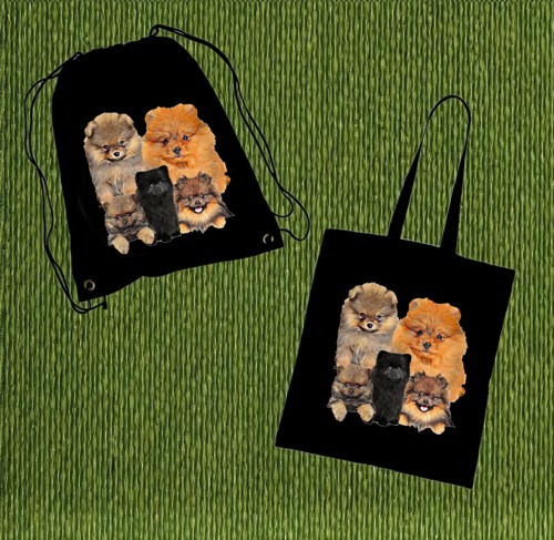 Špic Pomeranian Vak, Nebo Taška