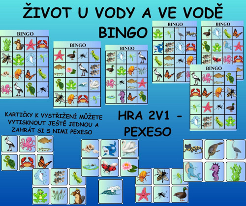 ŽIVOT U VODY A VE VODĚ - Bingo, pexeso