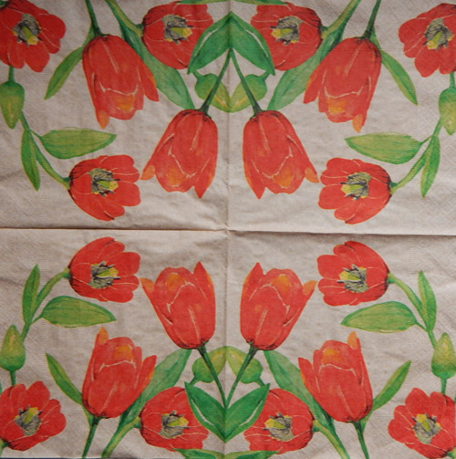 Tulipány eco 4117