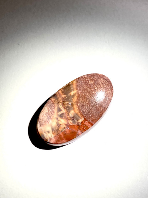 JASPIS PTAČÍ OKO - kabošon, drahokam 12,5 Ct.AUSTR