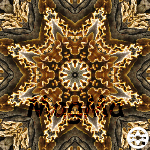 10-0010 Mandala babské houby