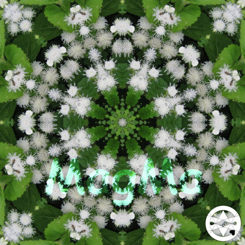 10-0014 Mandala bílého chmýří