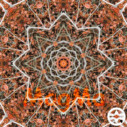 10-0018 Mandala rezavého borůvčí