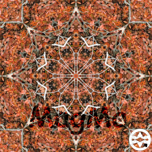 10-0020 Mandala rezavého borůvčí