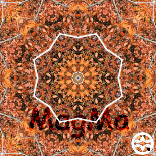 10-0022 Mandala rezavého borůvčí