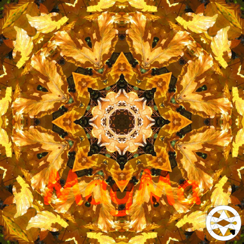 10-0028 Mandala z bukového listí