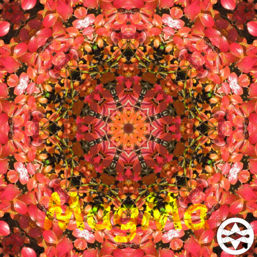 10-0036 Mandala z červeného keře