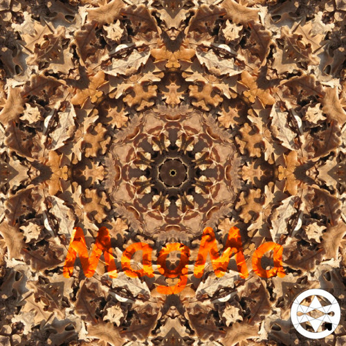 10-0046 Mandala ze spadaného dubového listí