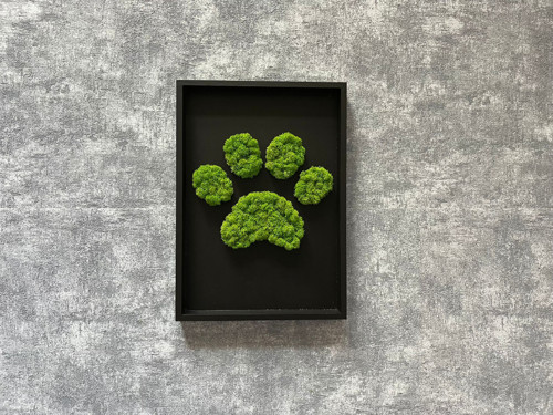 Mechový Obraz 35X25Cm – Tlapka