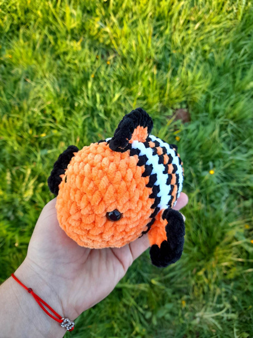 Rybka Nemo — foto 1