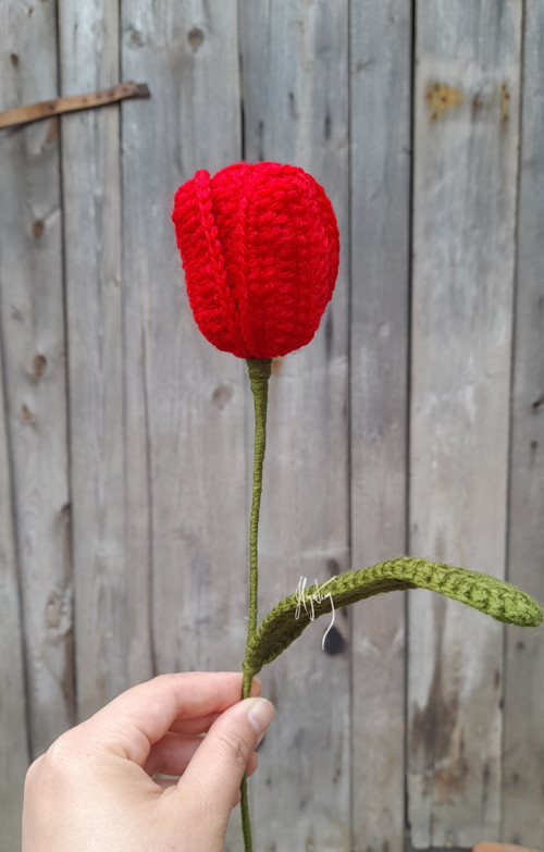 Háčkované tulipány