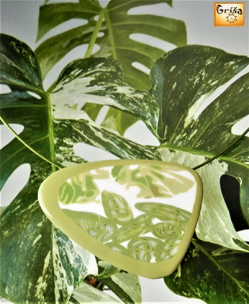 Monstera