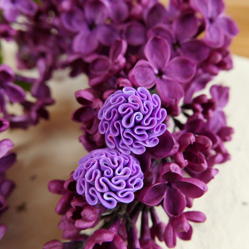 Náušnice purpurové