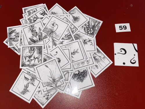 Pexeso vel.L č.59 - Rostliny (64kousků)