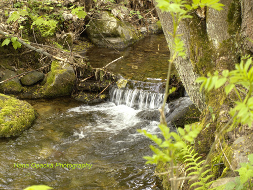 Krkonošský potůček