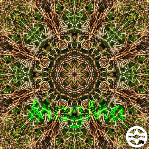 10-0065 Mandala mechu a jehličí