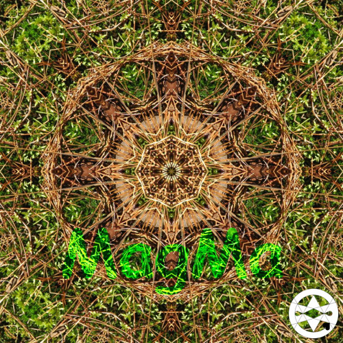 10-0066 Mandala mechu a jehličí