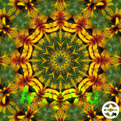 10-0071 Mandala z rudbekie