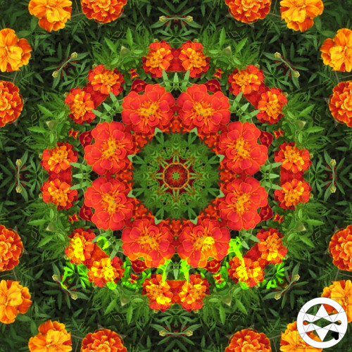 10-0074 Mandala z afrikánů