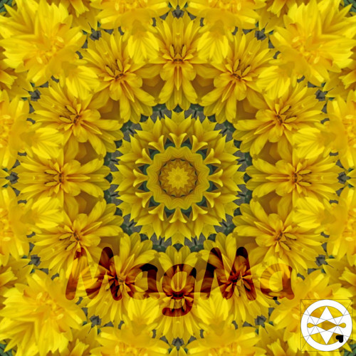 10-0075 Mandala z třapatky