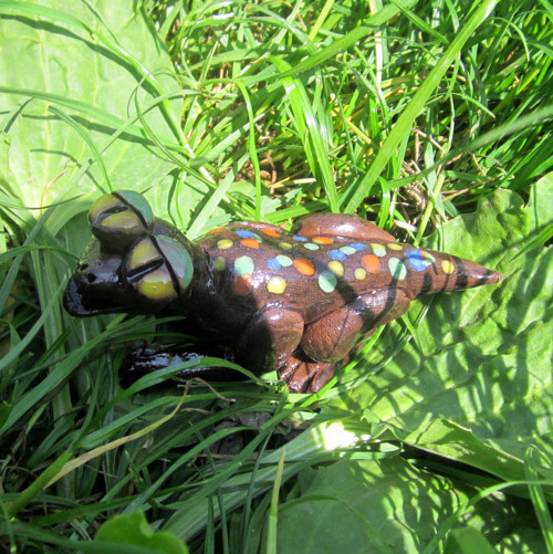 Chameleon