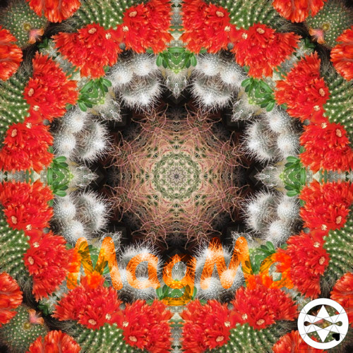10-0159 Mandala kvetoucích kaktusů