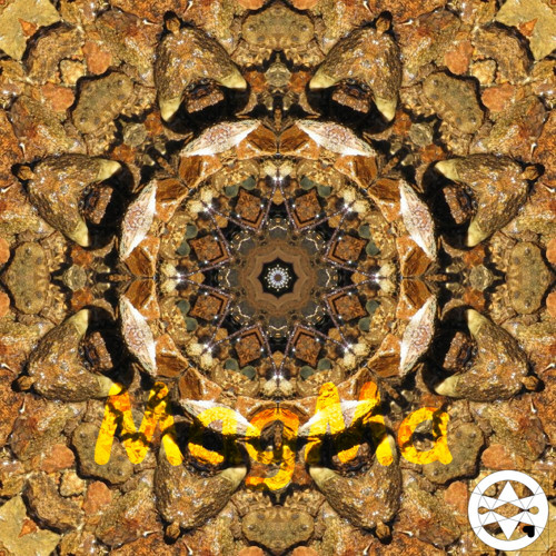 10-0166 Mandala z kamenného potoka
