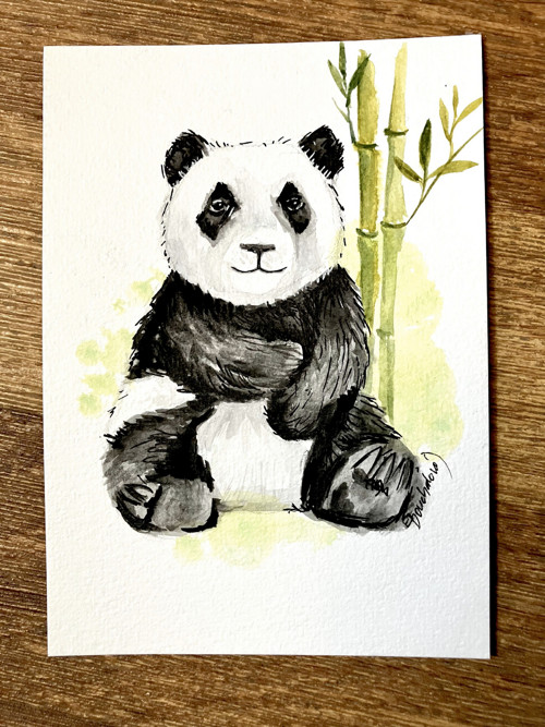 Panda - pohlednice