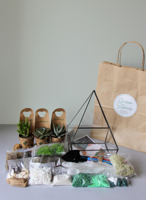 DIY sada + terárium "Pyramid"