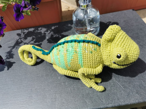 Háčkovaný chameleon — foto 1