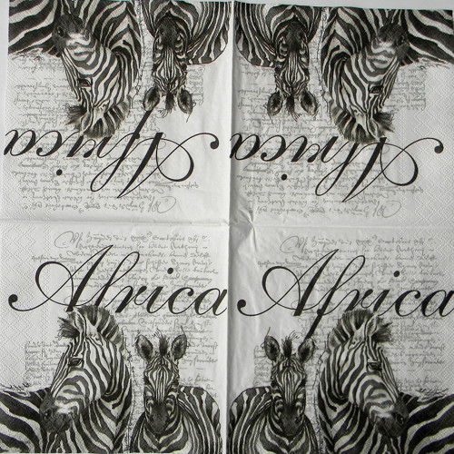 Zebra - Afrika — foto 1
