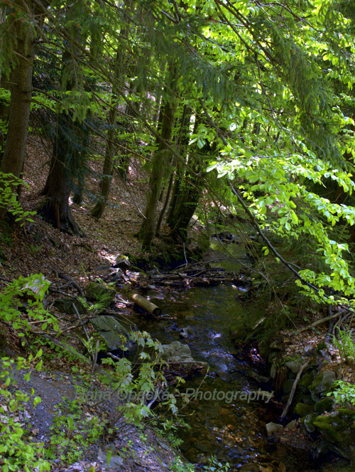 Krkonošský potůček