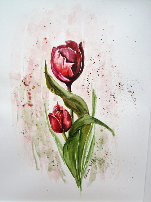 Tulipány