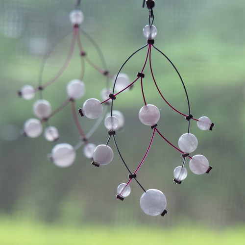 Zaplétanky růženínové — foto 1
