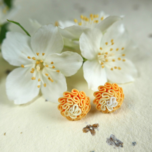 Kvetoucí Vanilla