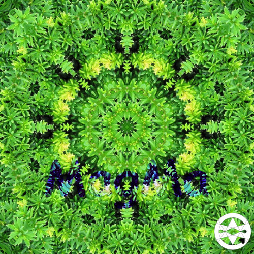 10-0221 Mandala z Královské zahrady