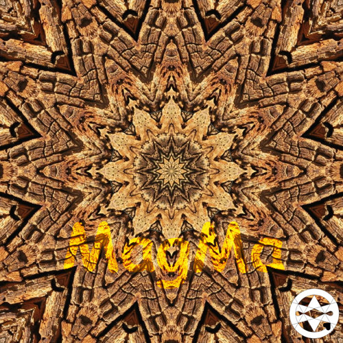 10-0228 Mandala z kůry